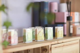 上海薰衣草節圓滿落幕，兩款官方周邊正式發售，影視劇推動文旅新融合