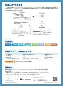 質(zhì)譜法SNP檢測 低價格高服務(wù)質(zhì)量，生工生物為您提供優(yōu)質(zhì)生命科學(xué)技術(shù)服務(wù)